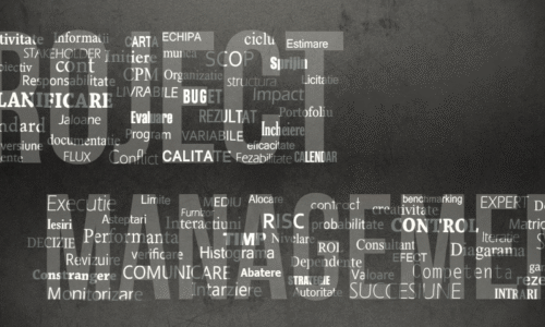 Manager proiect